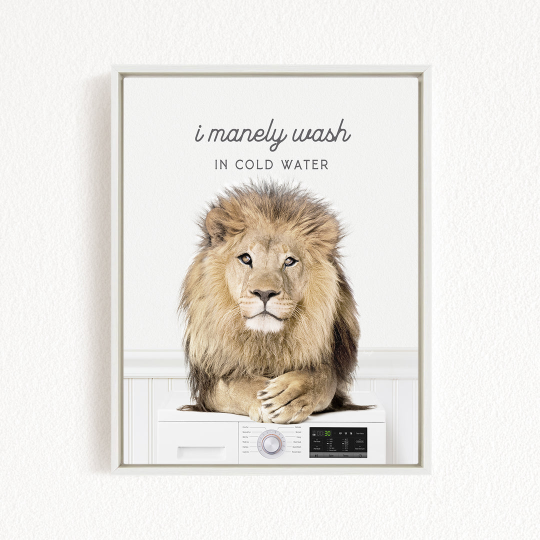 A lion sitting on top of a washing machine, with the text "I merely wash in cold water" above the image.