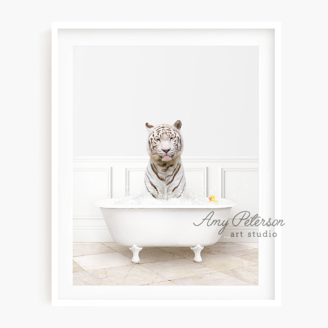 a white tiger sitting in a bath tub