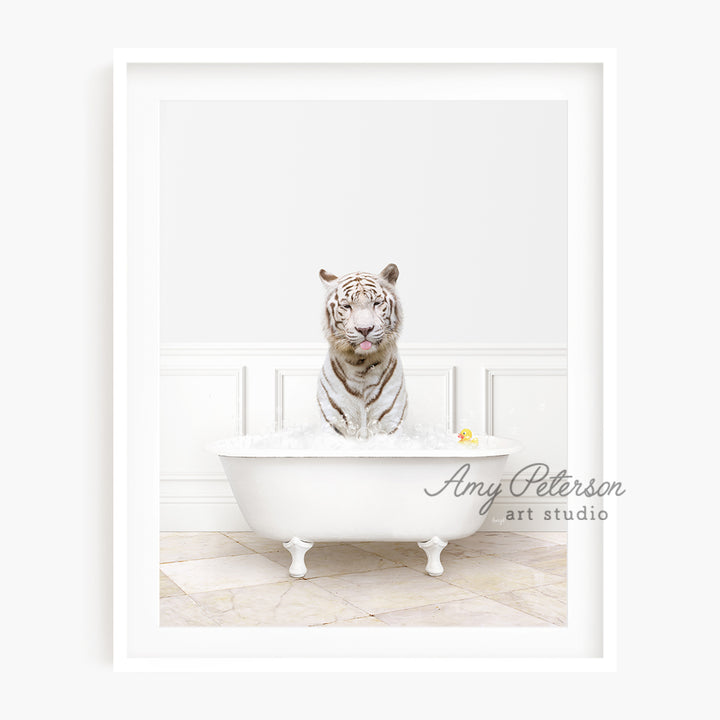 a white tiger sitting in a bath tub