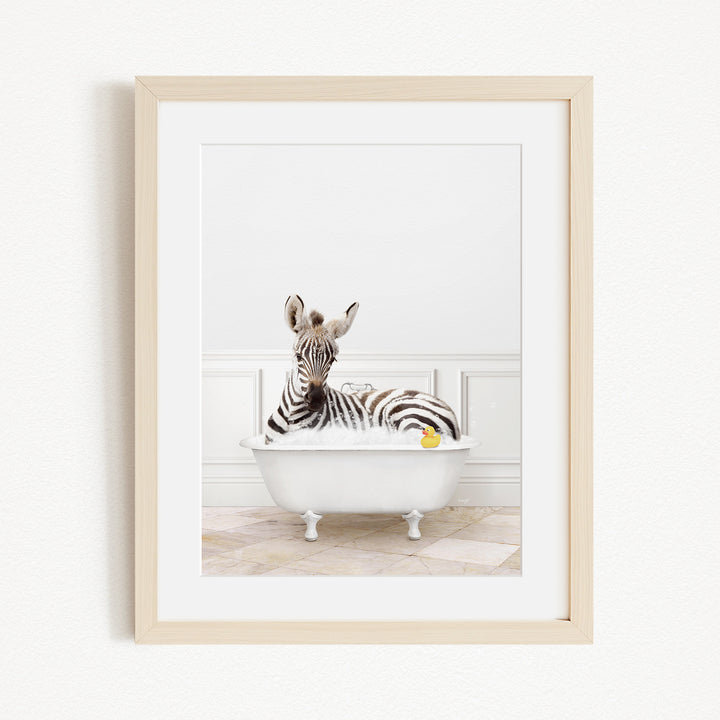A zebra is sitting in a white bathtub filled with water, with a yellow rubber duck floating on the water.