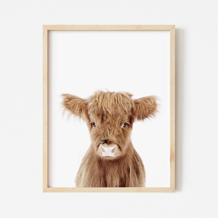 a framed photograph of a brown cow's face