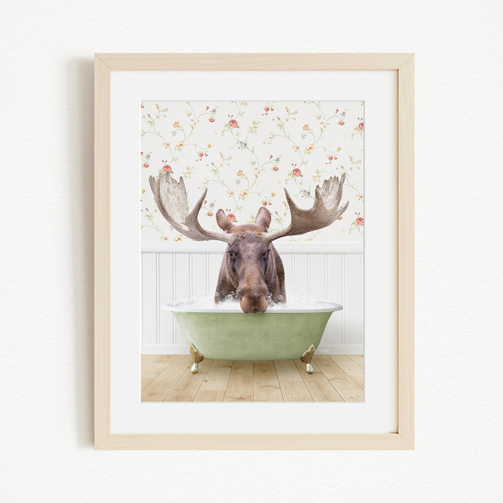 A moose with large antlers is sitting in a green bathtub, surrounded by a floral wallpaper.