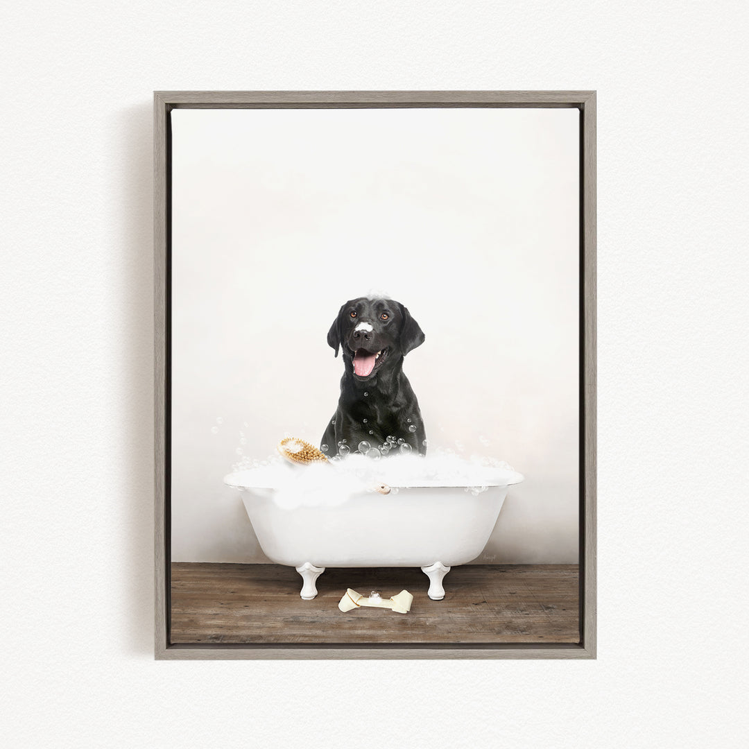 A black dog sitting in a white bathtub filled with bubbles, appearing to enjoy the bath.