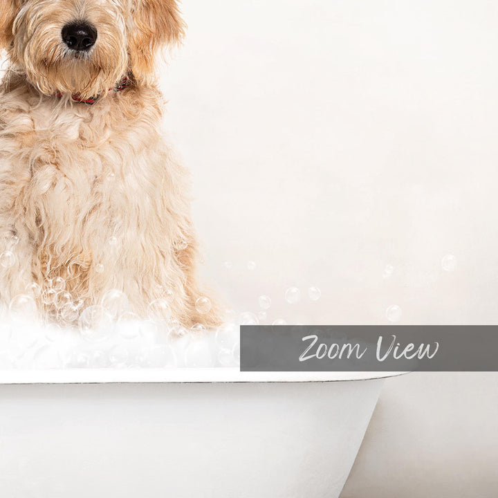 A fluffy golden retriever dog sitting in a bathtub filled with bubbles, with the word "Zoom View" displayed in the bottom right corner.