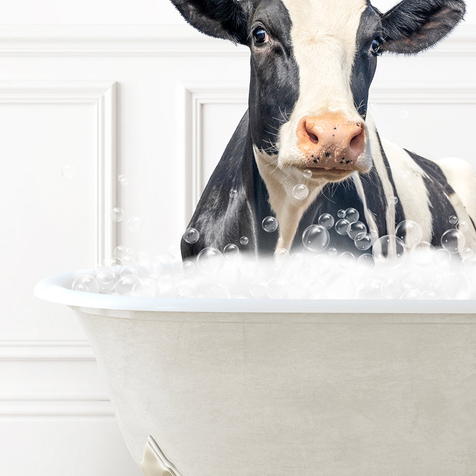 a black and white cow sitting in a bath tub