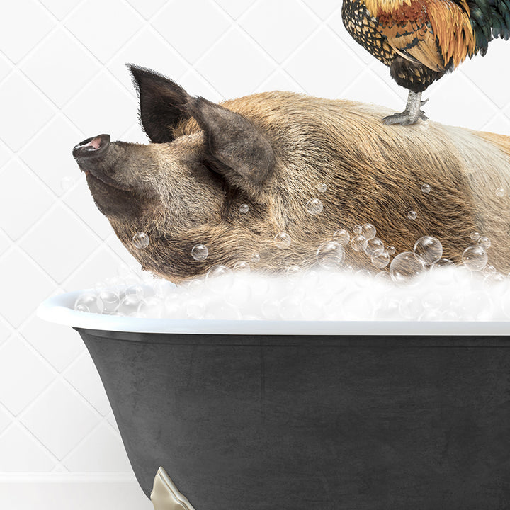 a pig in a bathtub with a chicken on top of it