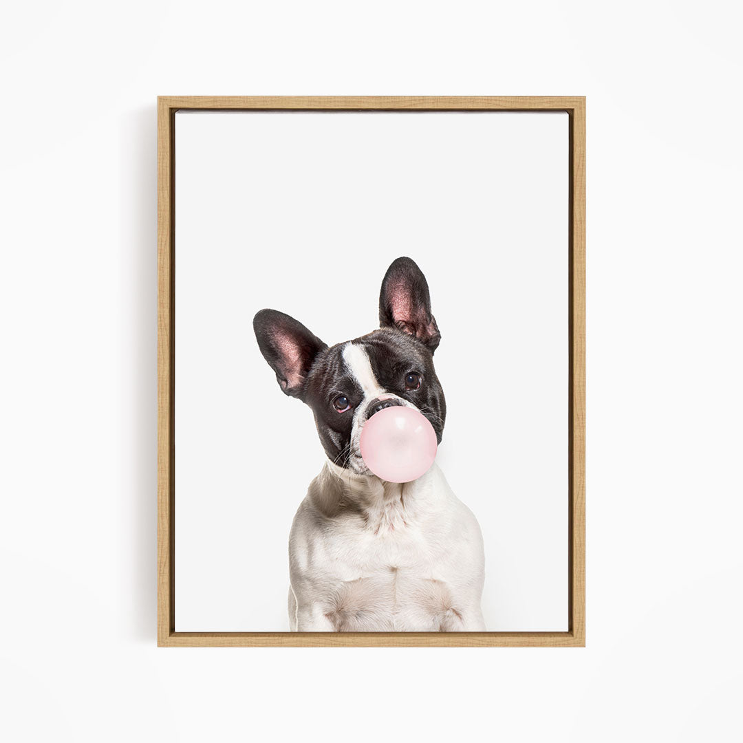A black and white dog with a pink bubble gum bubble in its mouth, looking directly at the camera.