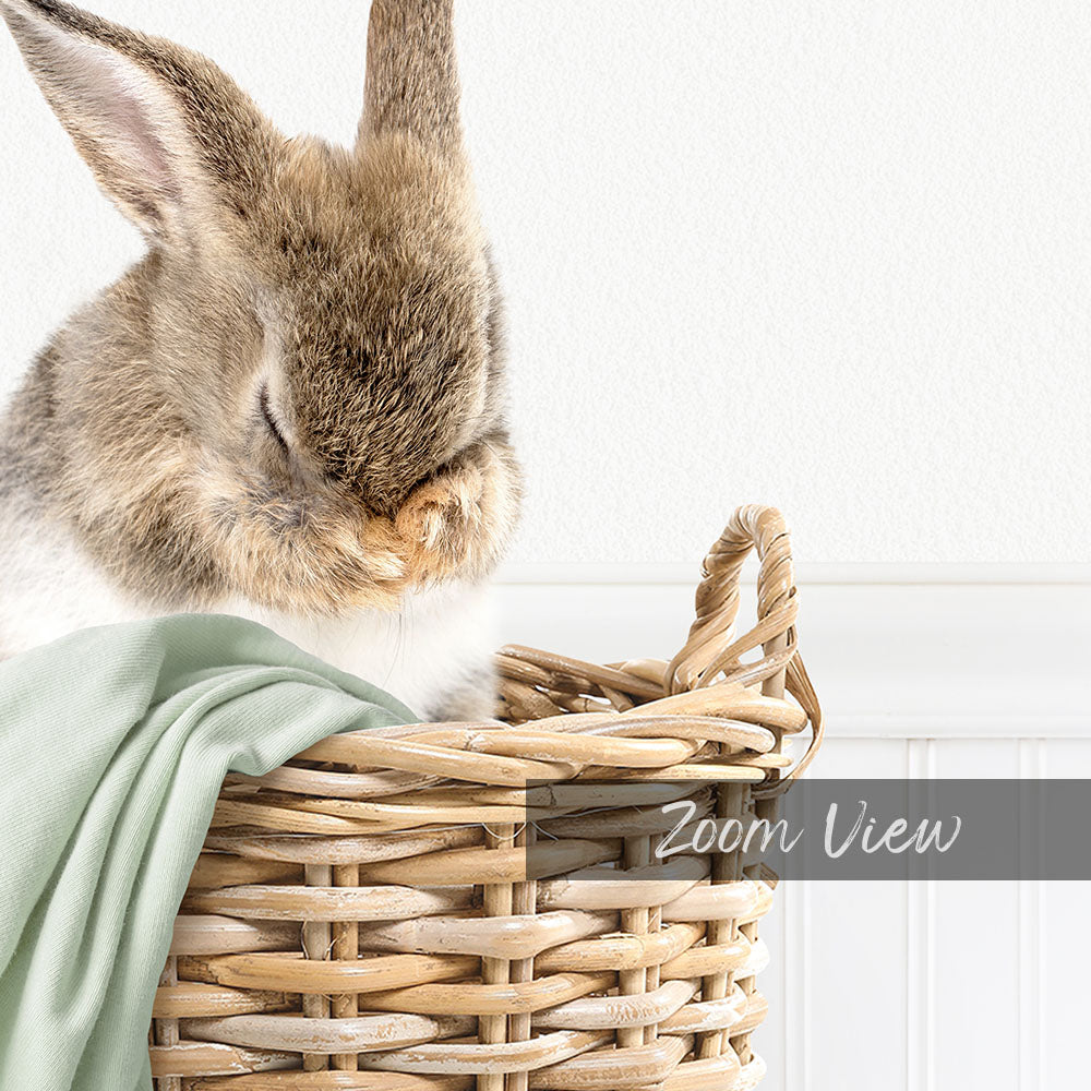 A fluffy brown rabbit is nestled in a woven basket, with its head resting on its paws.