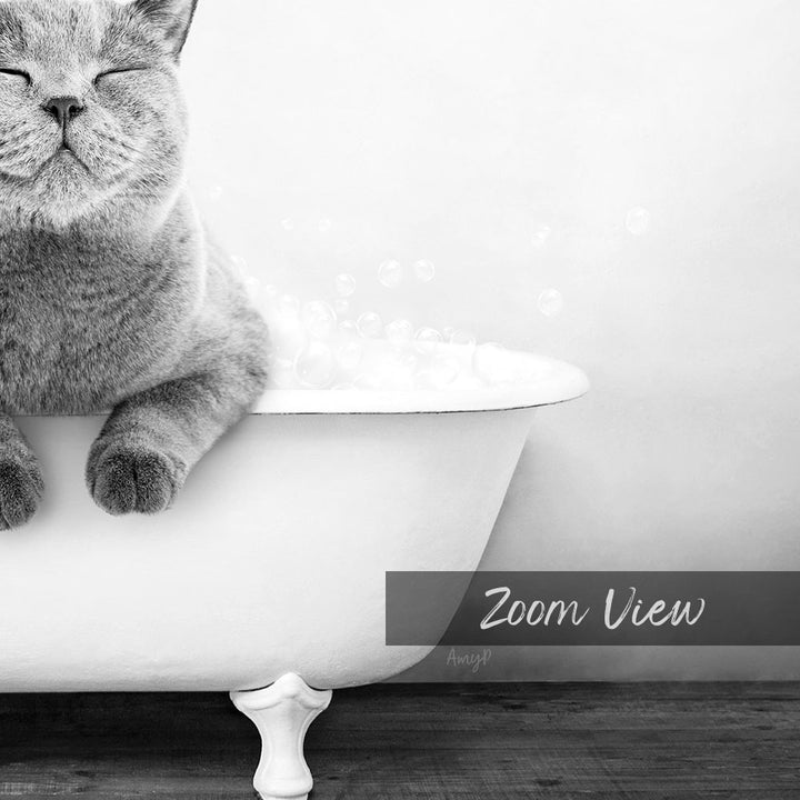 A cat sitting in a bathtub filled with bubbles, with the text "Zoom View" below the image.