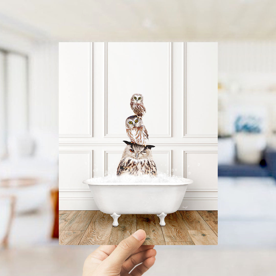 A hand holds up a framed image of three owls sitting in a bathtub filled with water, creating a whimsical and playful scene.