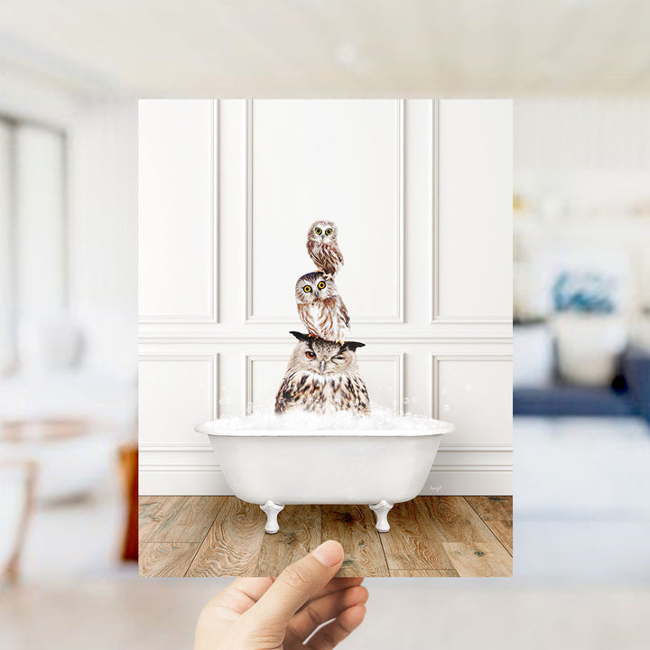 A hand holds up a framed image of three owls sitting in a bathtub filled with water, creating a whimsical and playful scene.