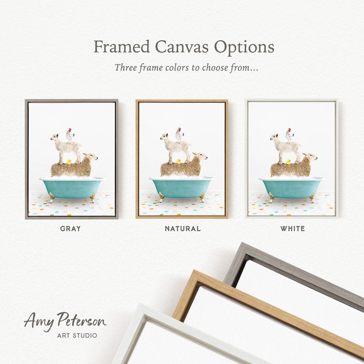 three framed canvas options, each featuring a different color and frame style. The options include a gray frame, a natural frame, and a white frame. The text above the options reads " Framed Canvas Options Three frame colors to choose from...".