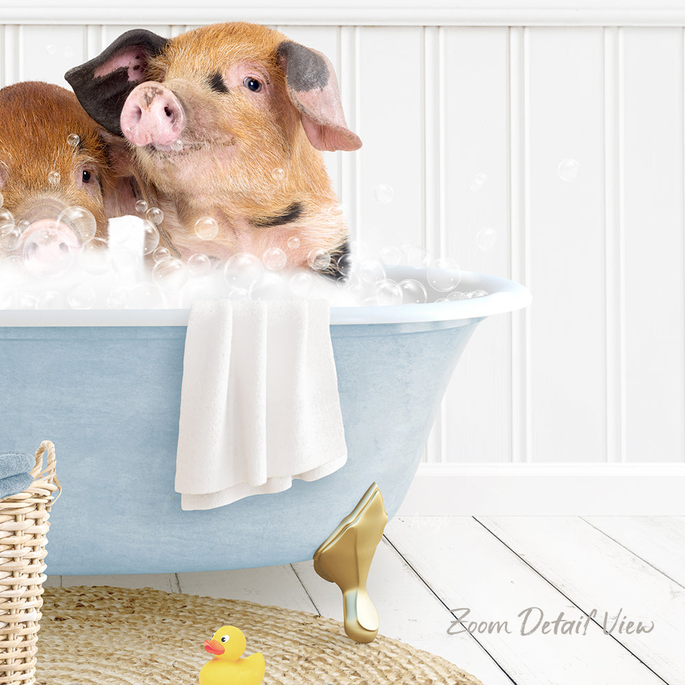 A pair of adorable pigs enjoying a bath in a blue tub, surrounded by bubbles and a rubber duck.
