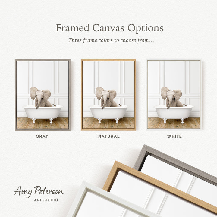 three framed canvas options, each featuring a photograph of an elephant in a bathtub. The options include a gray frame, a natural frame, and a white frame. The text above the images reads " Framed Canvas Options" and "Three frame colors to choose from...". The bottom of the image includes the text " Amy Peterson ART STUDIO".
