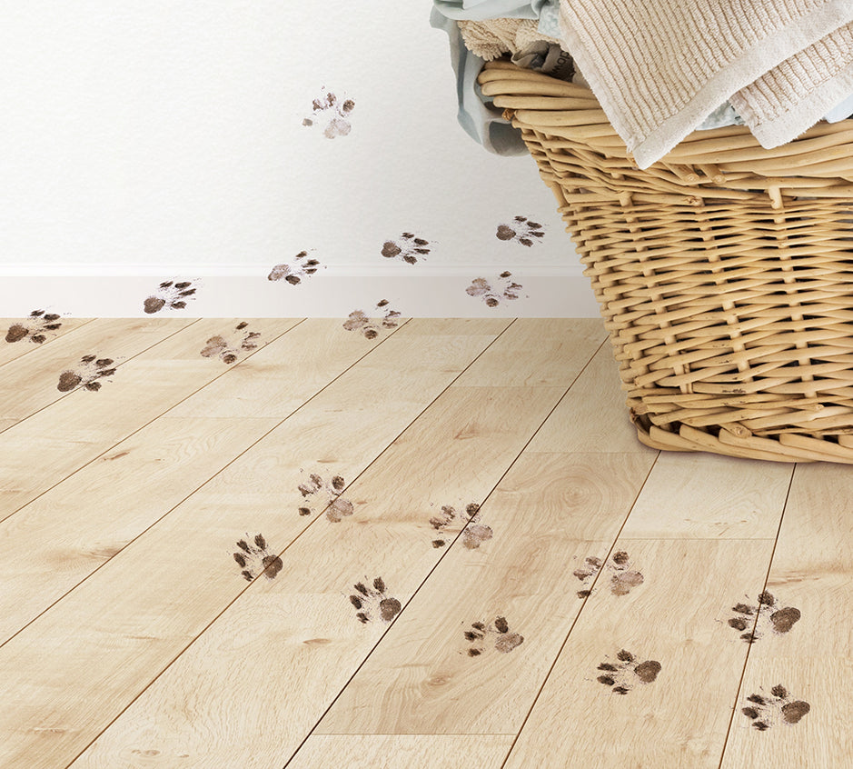 a basket with a blanket and paw prints on the floor