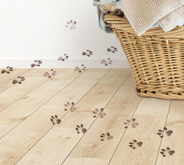 a basket with a blanket and paw prints on the floor