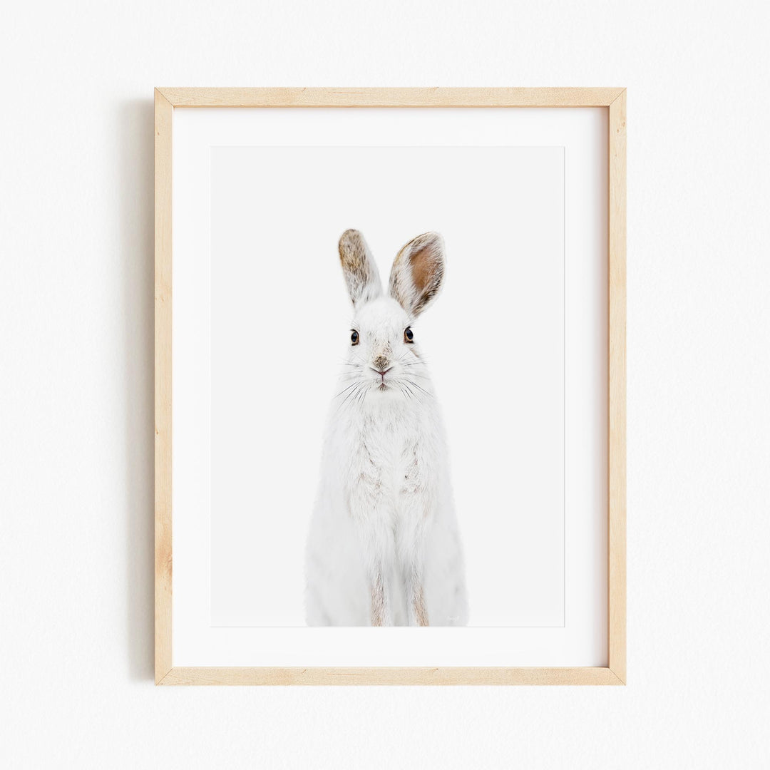 a picture of a white rabbit in a wooden frame