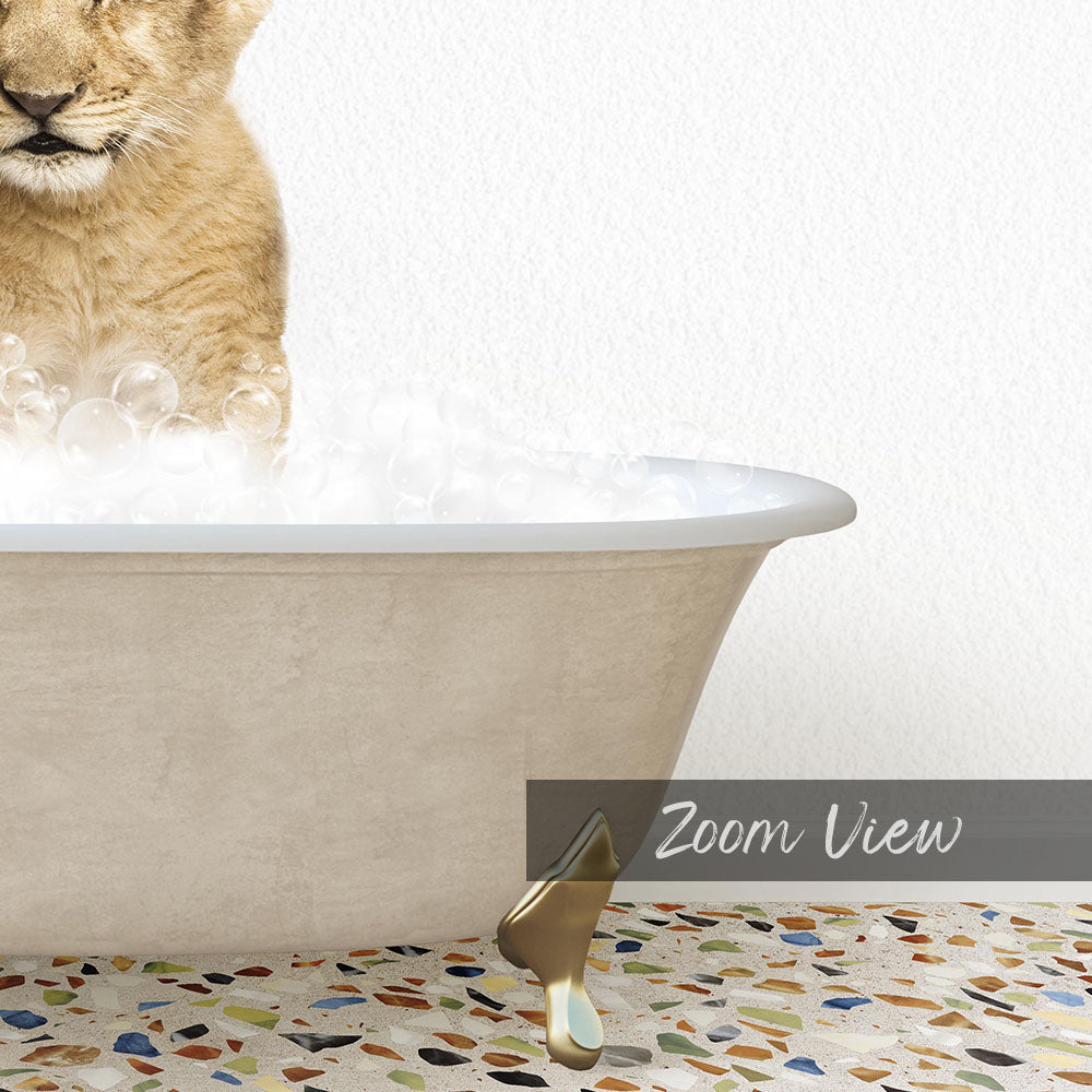A cat is sitting in a bathtub filled with bubbles, with a text overlay that reads "Zoom View".