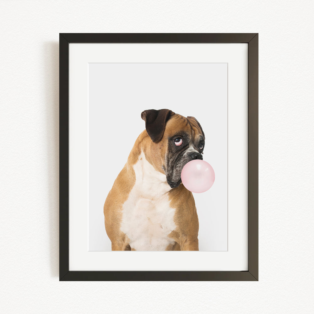 A brown and white dog is blowing a pink bubble with its mouth, creating a playful and whimsical scene.