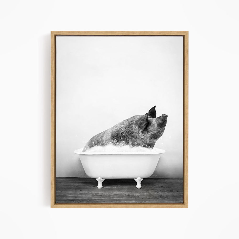 A black and white photograph of a pig sitting in a bathtub filled with water, with bubbles around it.