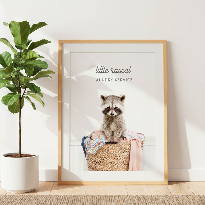A framed image of a raccoon sitting in a laundry basket, with the text "Little raccal Laundry Service" displayed above it.