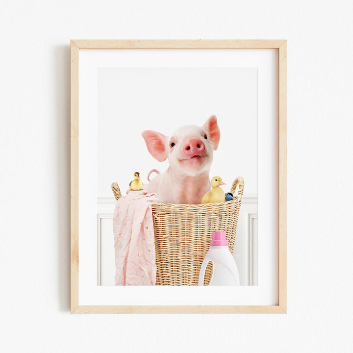 a picture of a pig in a basket