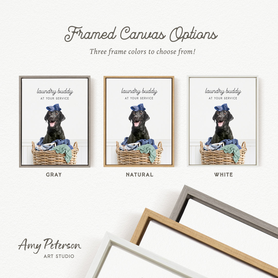 The image is a framed canvas option featuring three different framed pictures of a dog wearing a blue hat, sitting in a laundry basket.