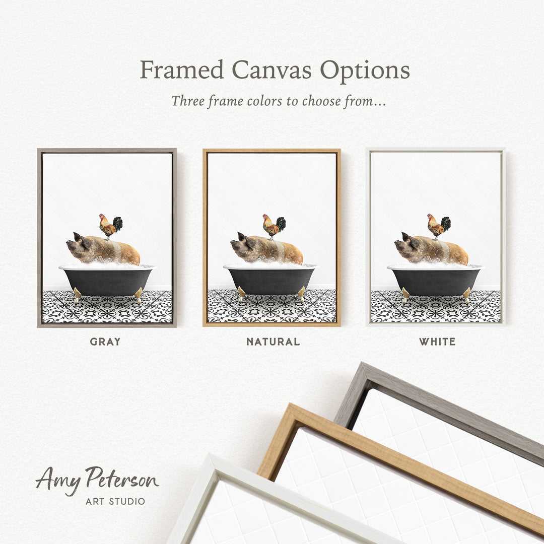 three framed canvas options, each featuring a different color: gray, natural, and white. The text above the images reads " framed Canvas Options" and "Three frame colors to choose from...". The bottom of the image includes the text " Amy Peterson ART STUDIO".