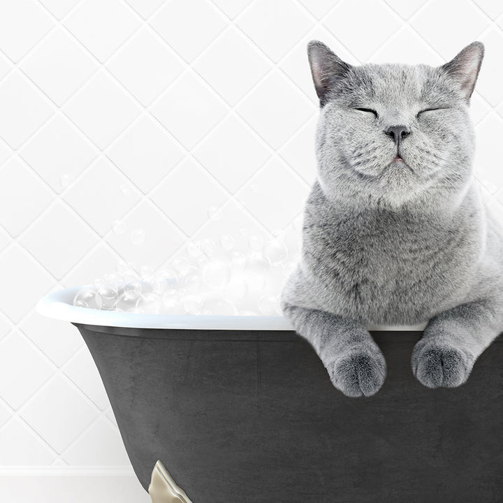 a cat is sitting in a bathtub with its eyes closed