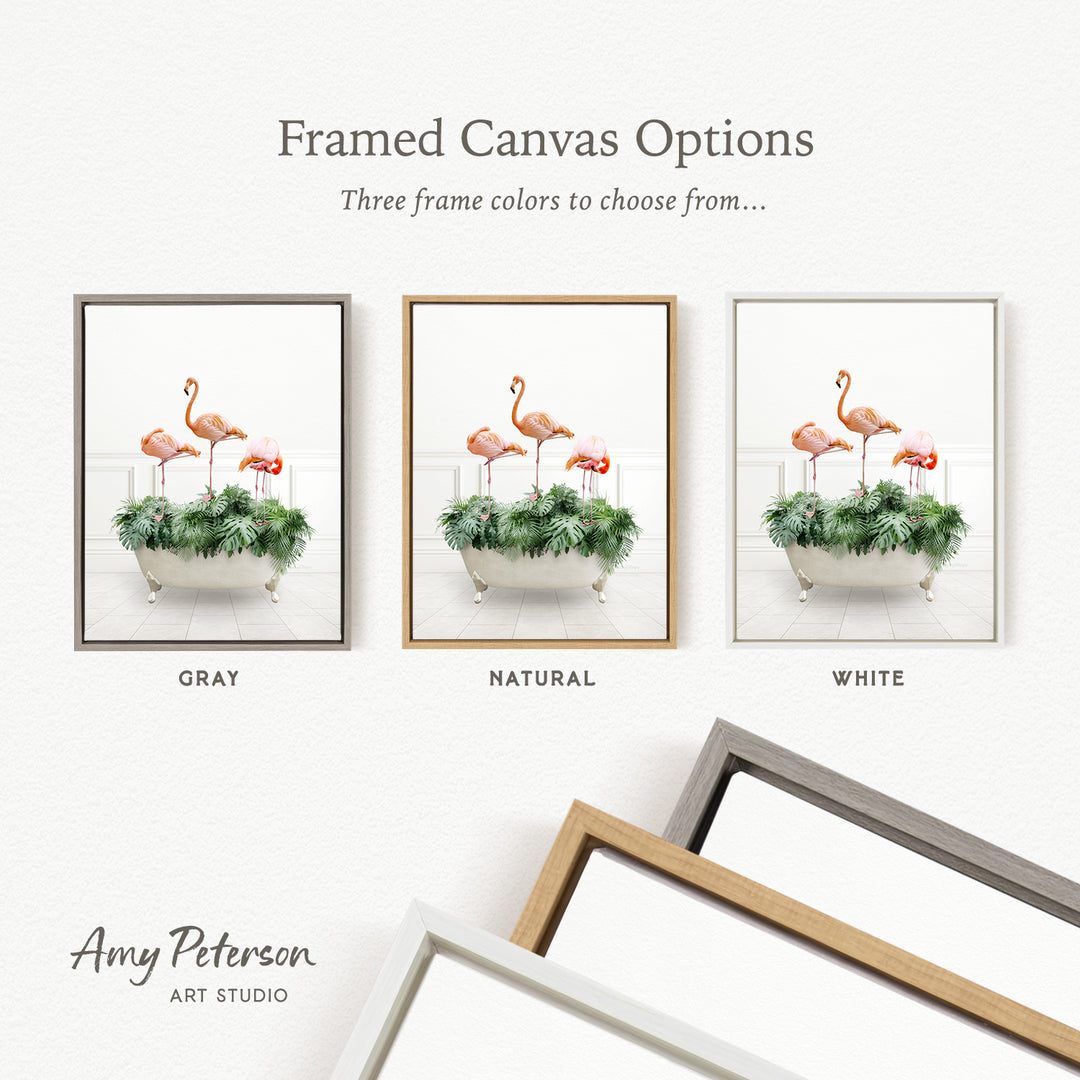 three framed canvas options, each featuring a different color and frame style. The options include a gray frame, a natural frame, and a white frame. The text above the options reads " Framed Canvas Options" and "Three frame colors to choose from...". The text below the options reads "GRY", "NATURAL", and "WHITE". The artist's name, " Amy Peterson ART STUDIO", is also present.