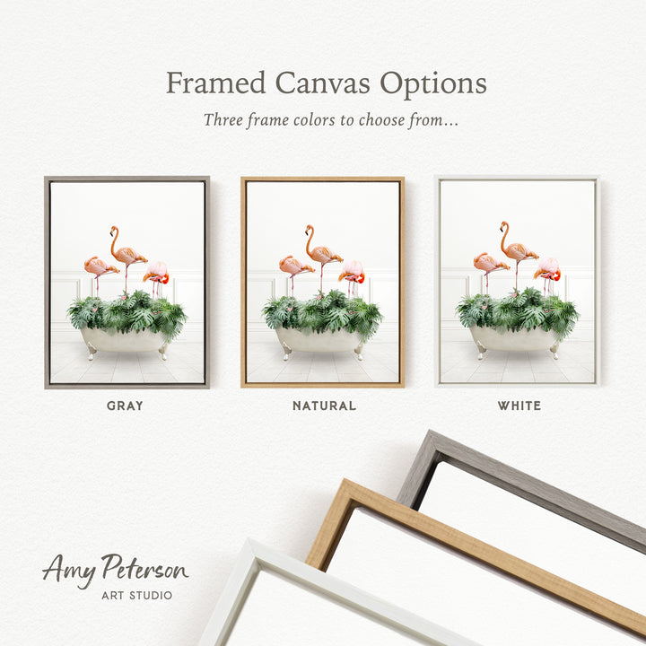 three framed canvas options, each featuring a different color and frame style. The options include a gray frame, a natural frame, and a white frame. The text above the options reads " Framed Canvas Options" and "Three frame colors to choose from...". The text below the options reads "GRY", "NATURAL", and "WHITE". The artist's name, " Amy Peterson ART STUDIO", is also present.