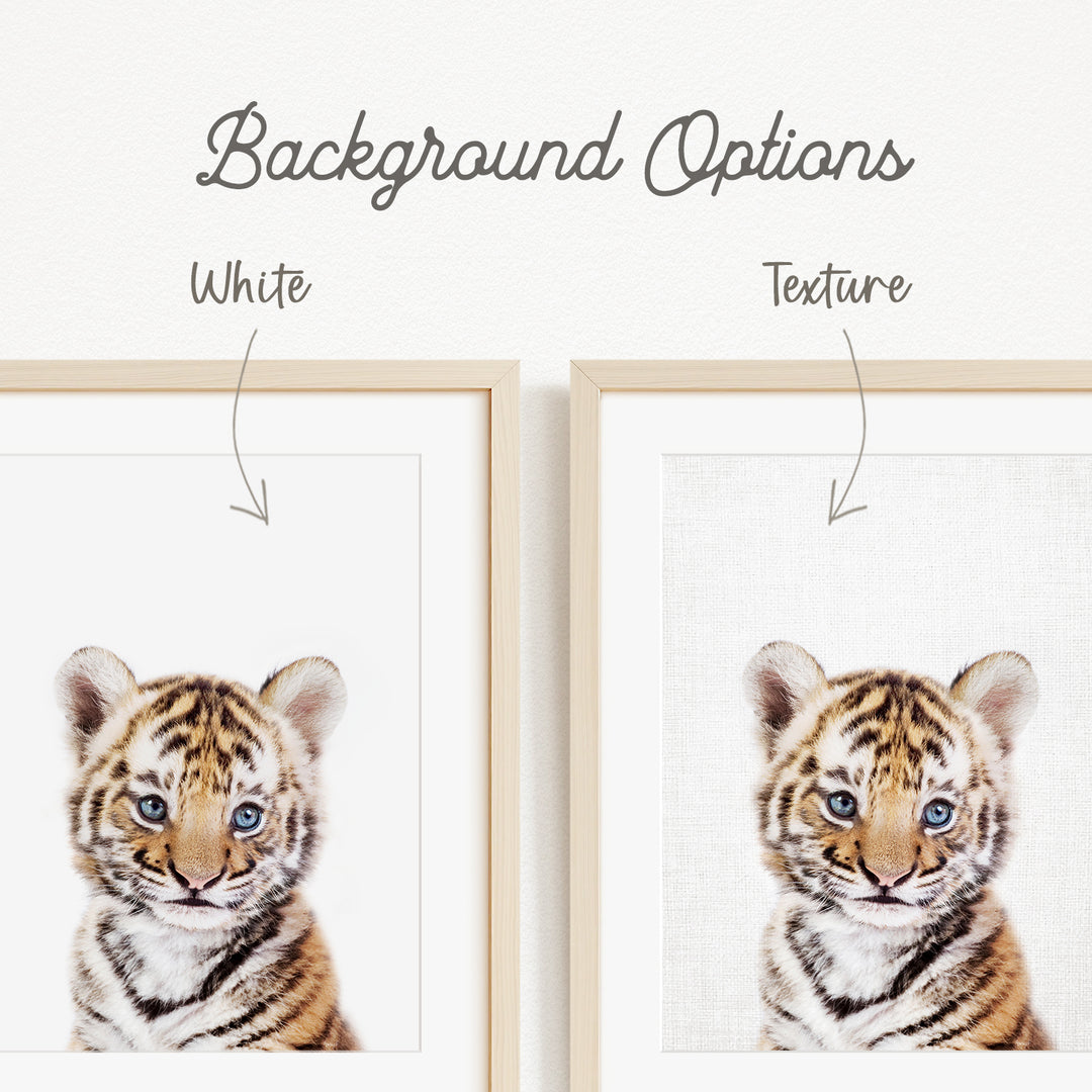 a baby tiger with a white background, and the text "Background Options" is displayed above the images.