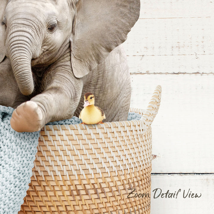 A baby elephant and a duckling are sitting together in a woven basket, with the elephant's trunk resting on the basket.