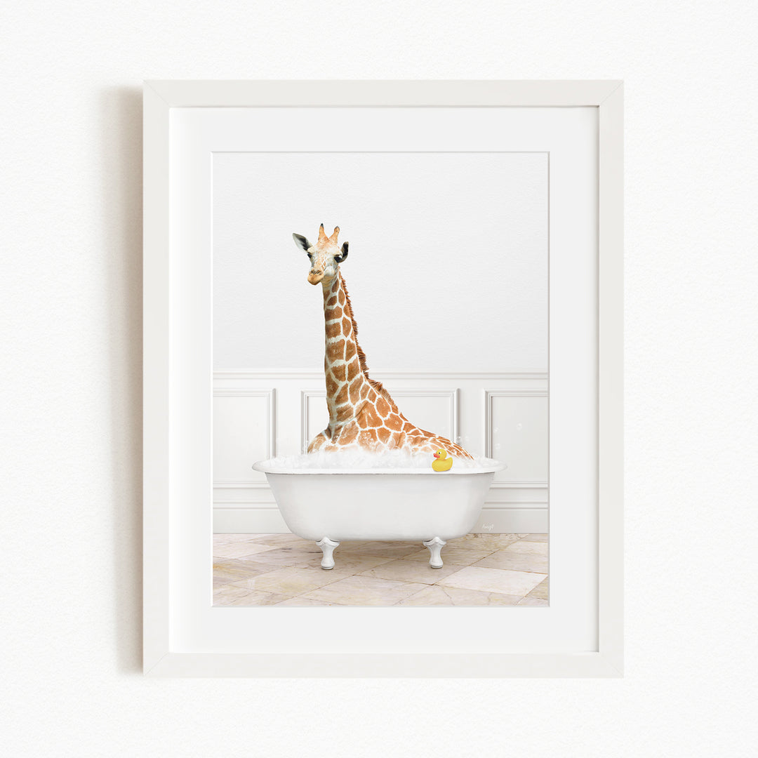 A giraffe is sitting in a white bathtub filled with water, with a yellow rubber duck floating nearby.