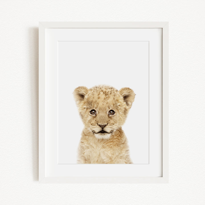 A young lion cub with a curious expression is the focus of the framed print displayed on a white wall.