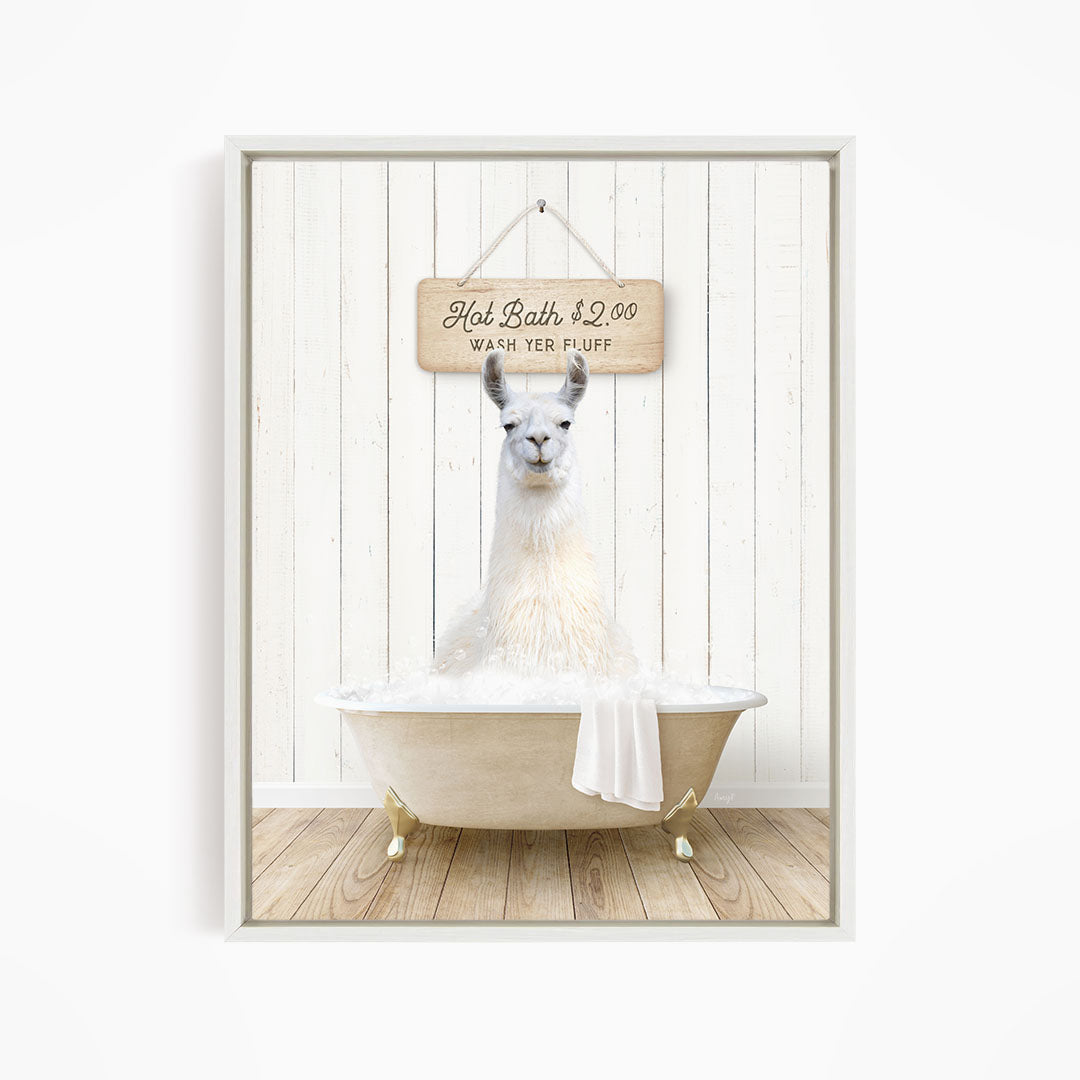 A white llama sitting in a white bathtub, with a wooden sign above it that reads "Hot Bath $2.00 Warm Yer Fluff".