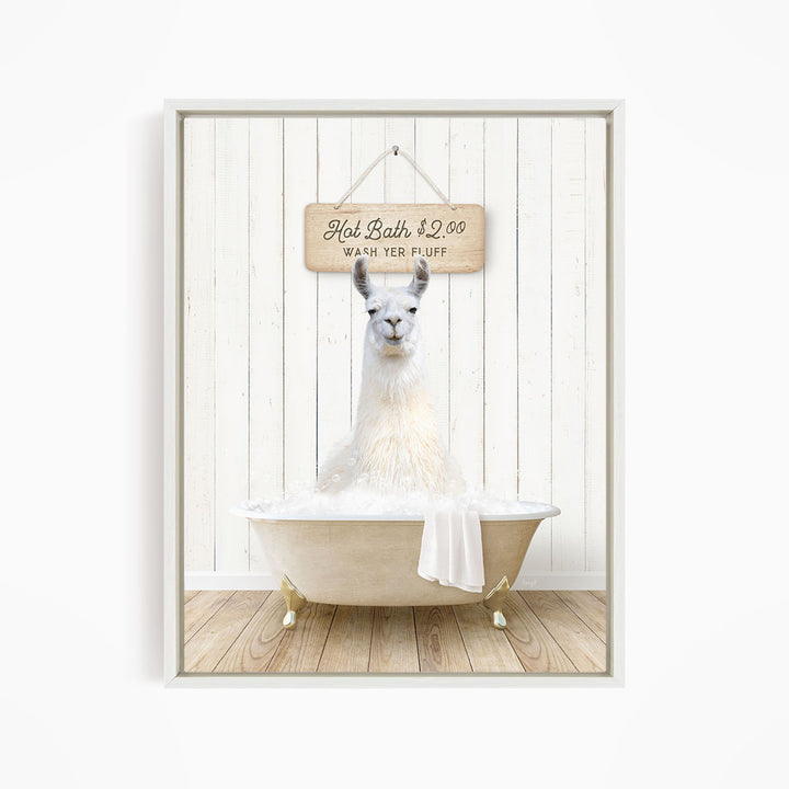A white llama sitting in a white bathtub, with a wooden sign above it that reads "Hot Bath $2.00 Warm Yer Fluff".