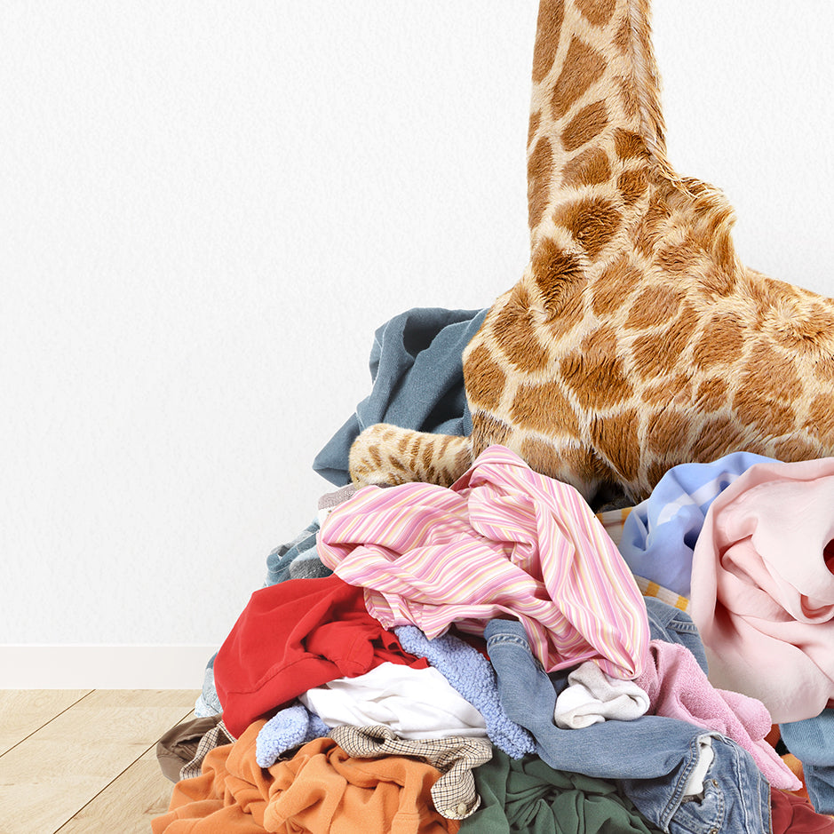 a giraffe standing over a pile of clothes