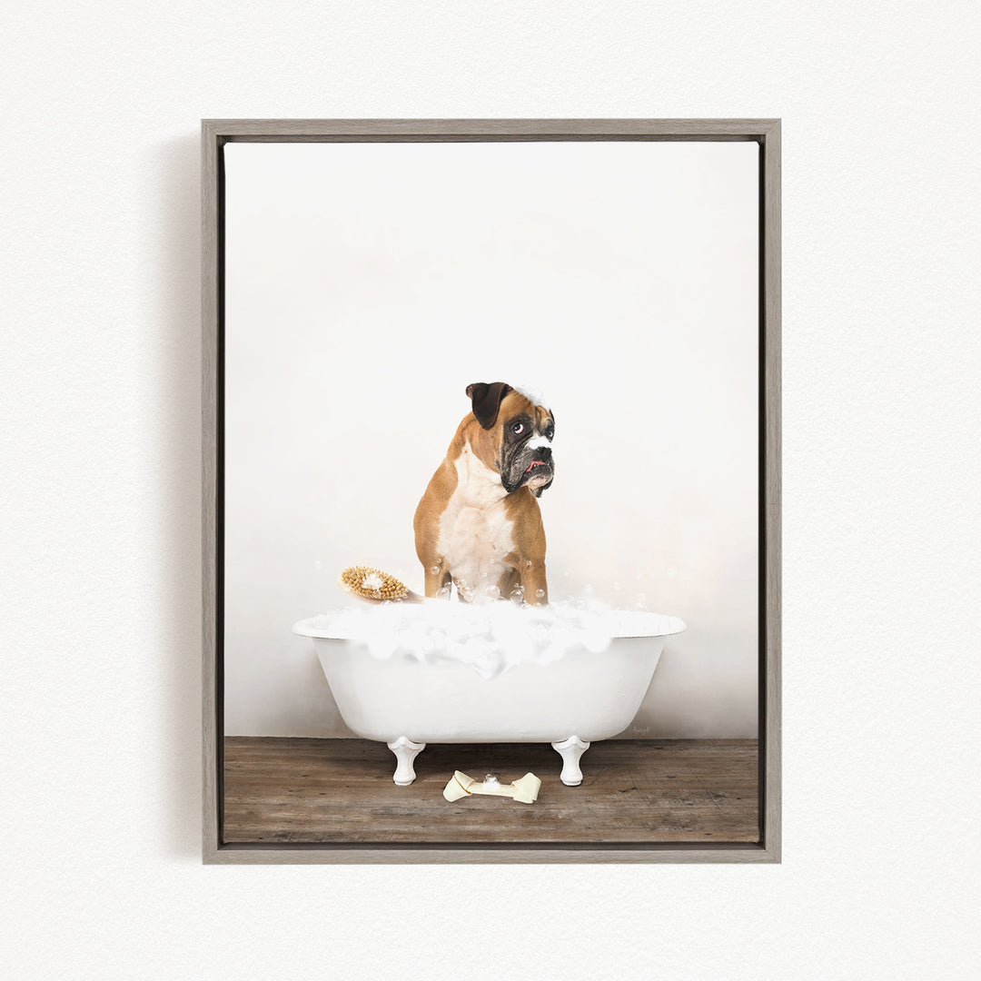 A brown and white dog sitting in a white bathtub filled with bubbles, looking up at the camera.