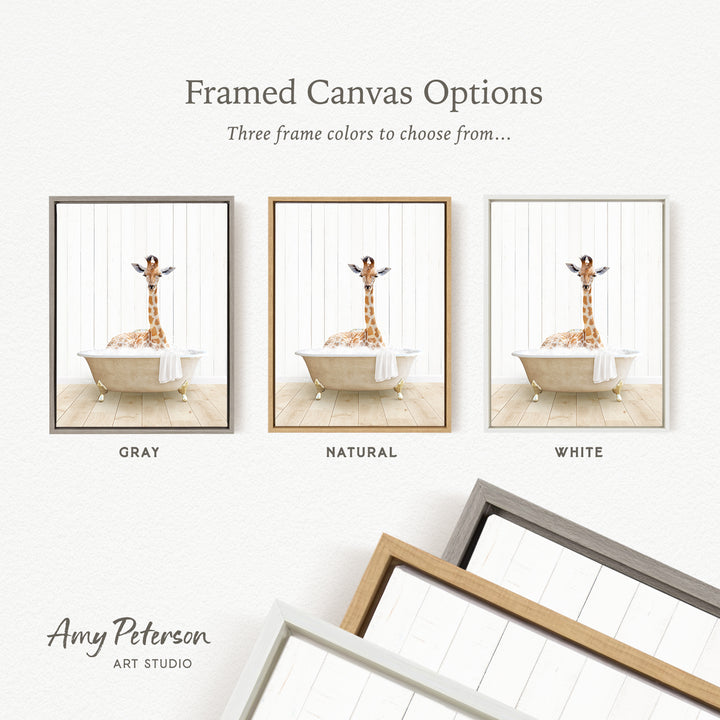 The image is a framed canvas option showcasing three different frame colors: gray, natural, and white. The canvas features a giraffe sitting in a bathtub, and the frame color options are displayed below the canvas.