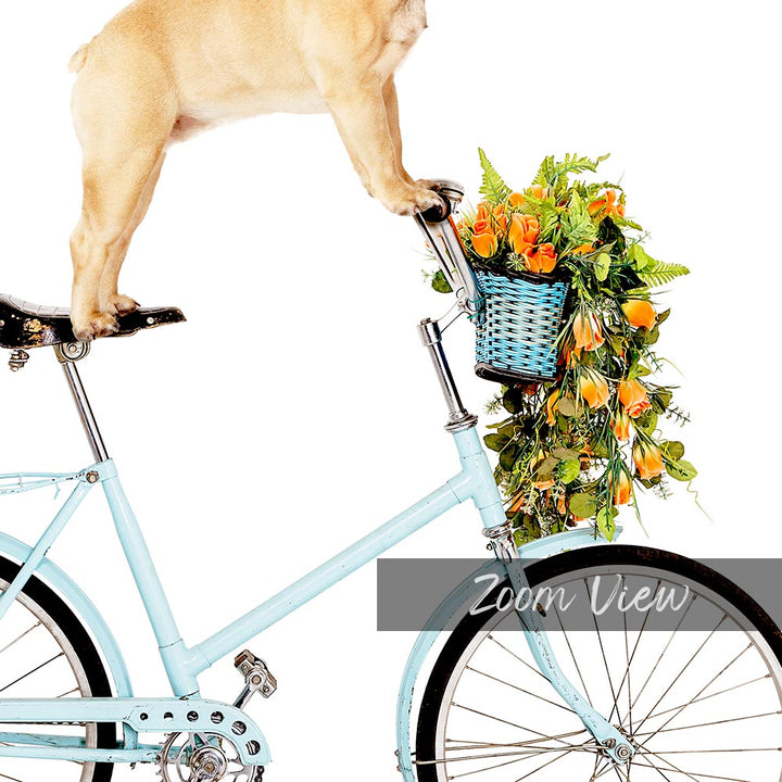 a dog standing on the back of a bicycle