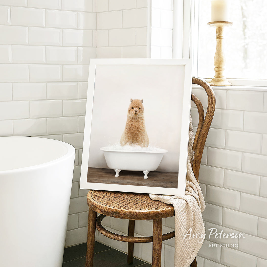 A framed photograph of a fluffy cat sitting in a white bathtub, with a towel draped over the back of a wooden chair in a bathroom setting.