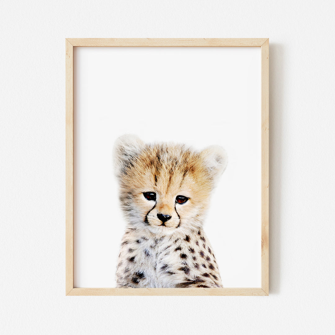 a framed photograph of a cheetah cub