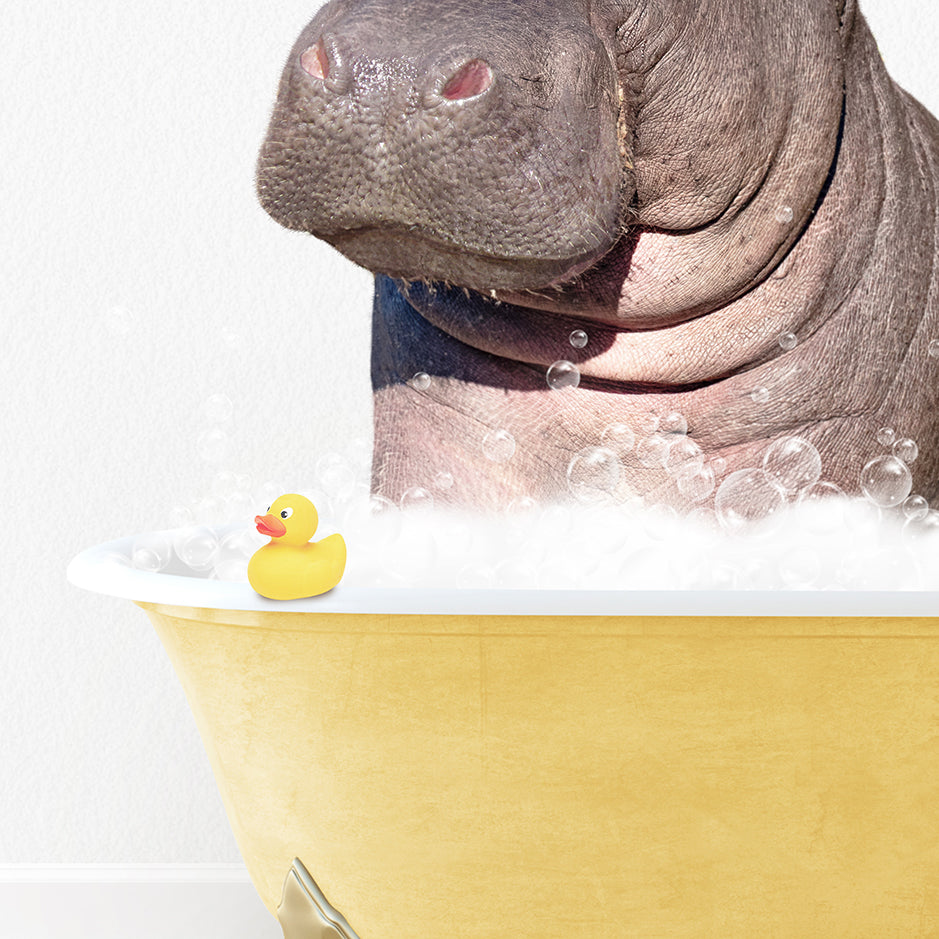 a hippopotamus in a bathtub with bubbles and a rubber duck