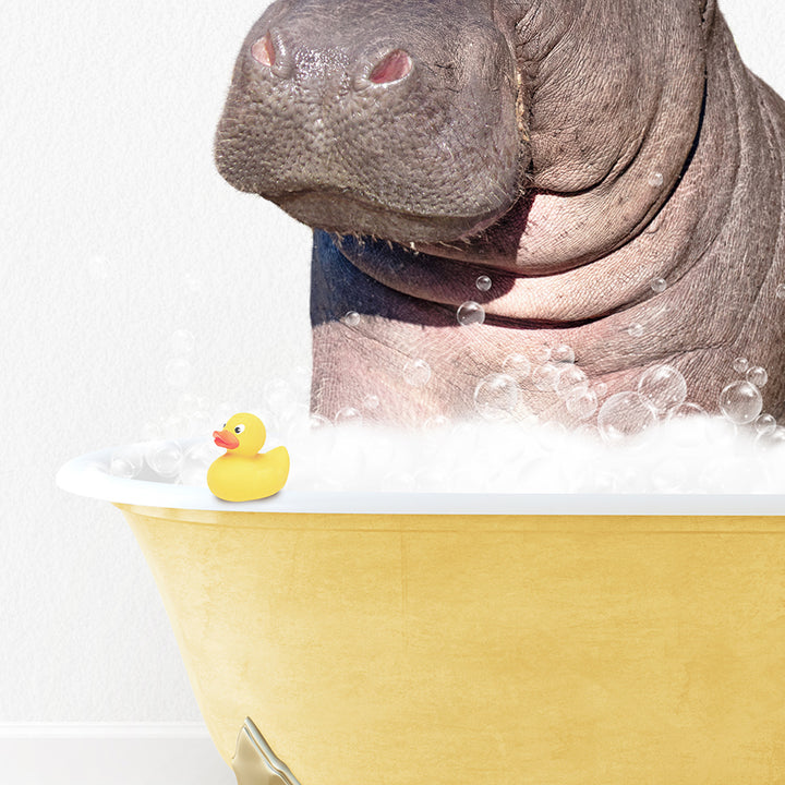 a hippopotamus in a bathtub with bubbles and a rubber duck