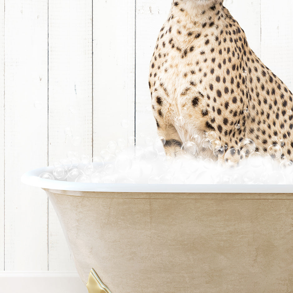 a cheetah sitting in a bathtub full of foam