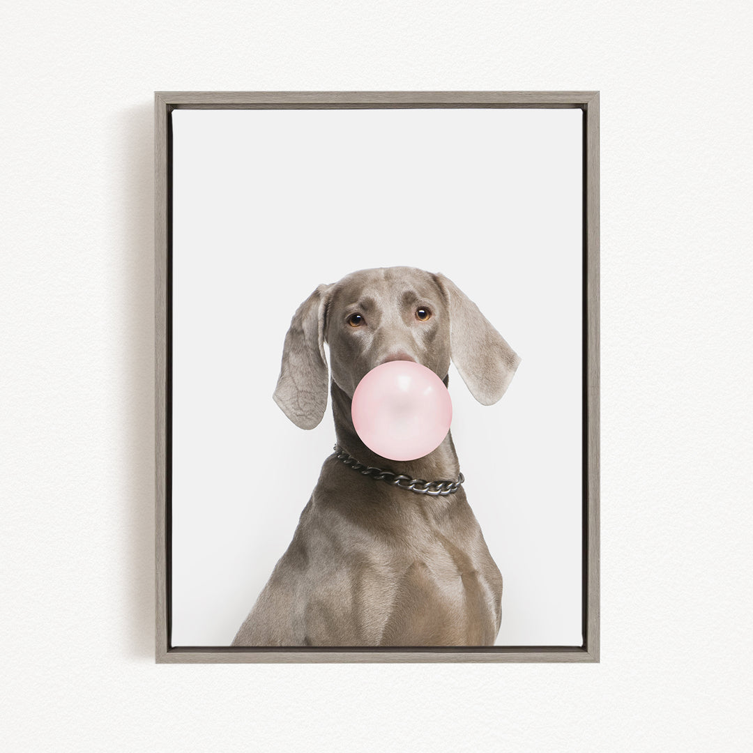 A dog is sitting and blowing a bubble with a pink bubble gum bubble.