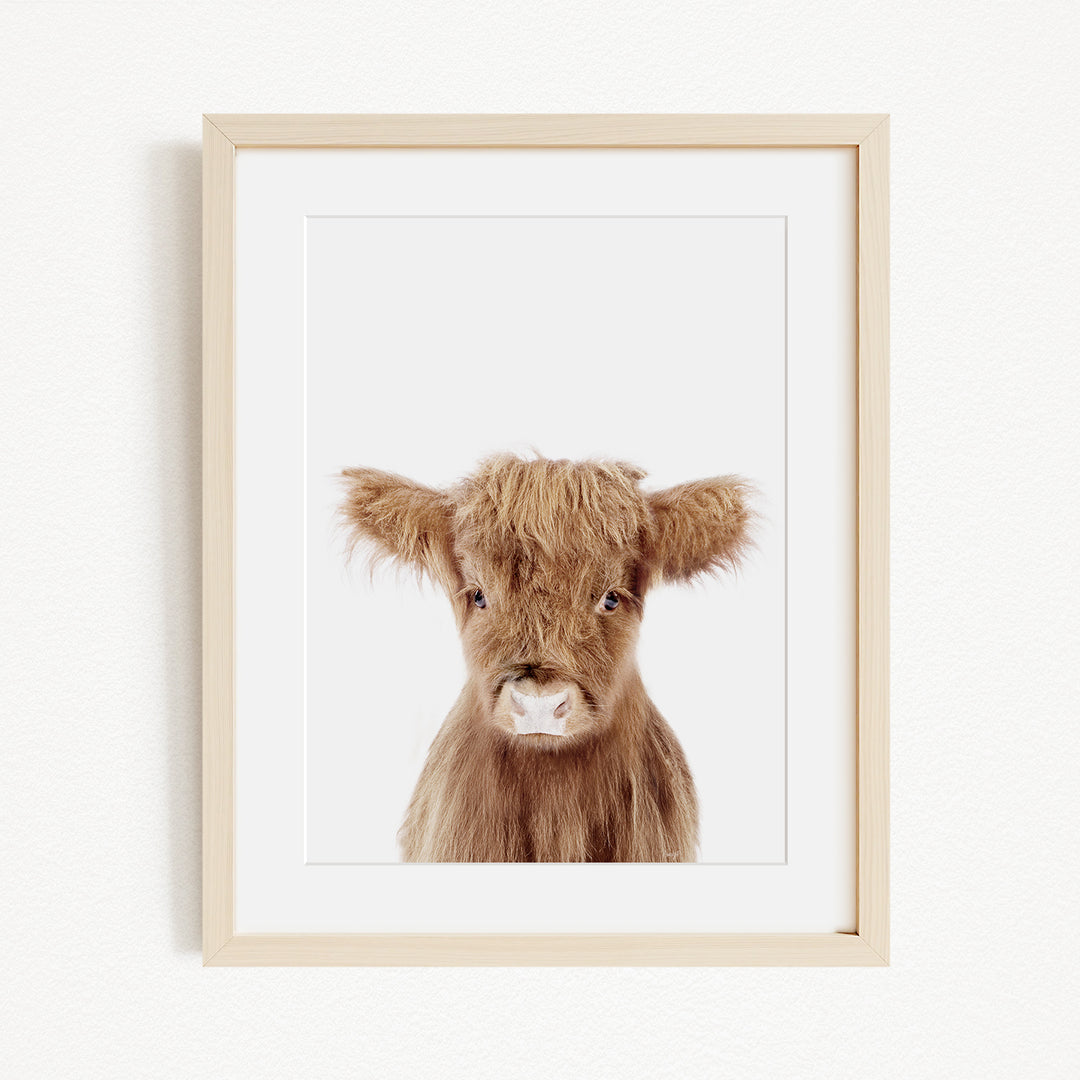 A framed image of a brown cow with a white nose and eyes, looking directly at the camera.