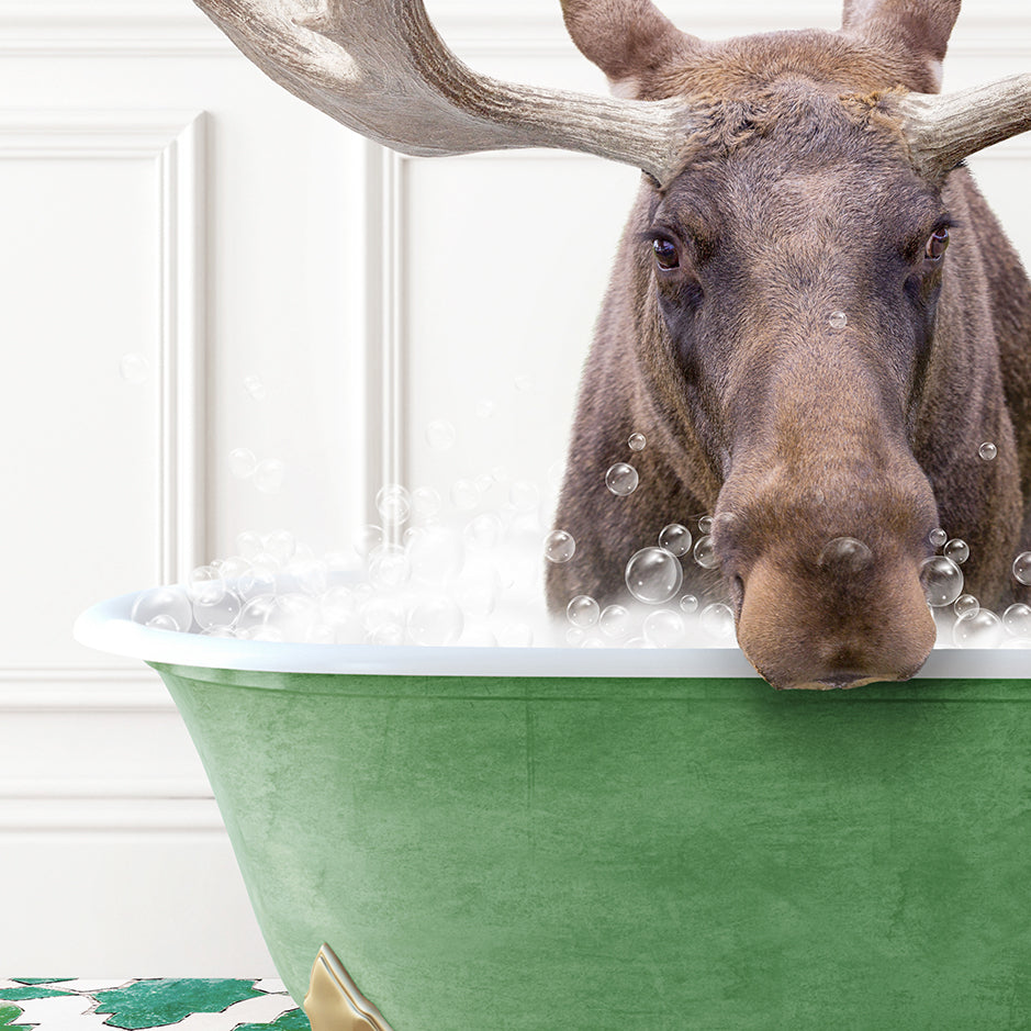 a moose sticking its head out of a bathtub