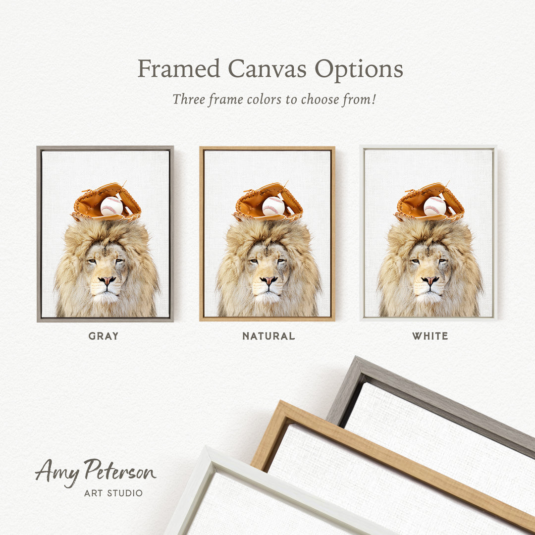 three framed canvas options, each featuring a lion with a baseball hat and glove on its head. The options include a gray frame, a natural frame, and a white frame.
